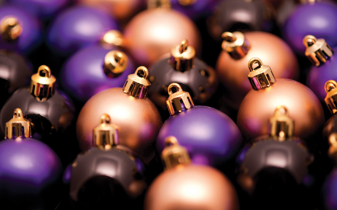 December 2021 Newsletter