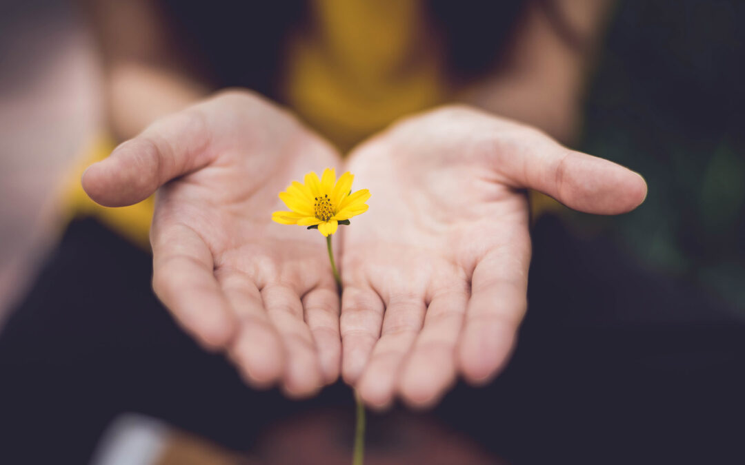 Mindfulness Workshop for CSTA Members – May and June 2022