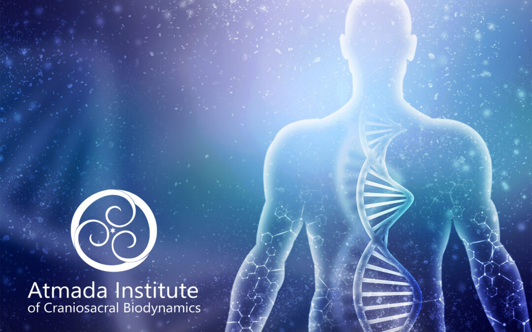 Explore the Healing Power of Craniosacral Therapy — Introductory Training in Cape Town