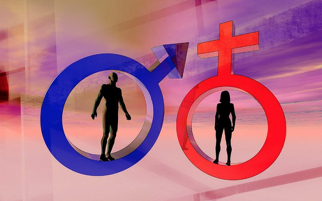Differences in Physiology and Regulation Between Genders